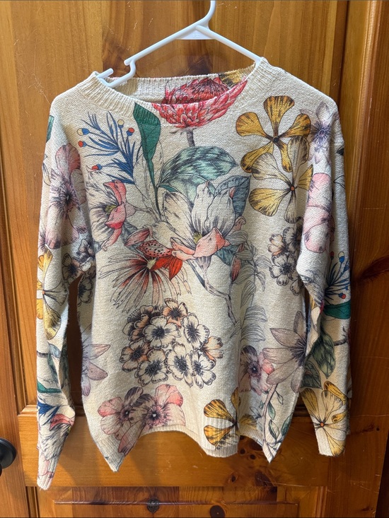 None Sweaters - Floral Crewneck Sweater - Cream Multicolor, screen-printed, Sz small, NEW!